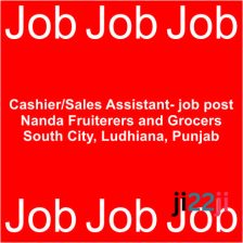 Cashier/Sales Assistant